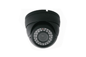 Sree Security Systems & Services