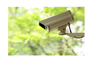 Sree Security Systems & Services